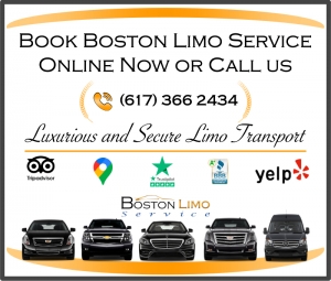What to Look for When Choosing a Boston Coach Car Service